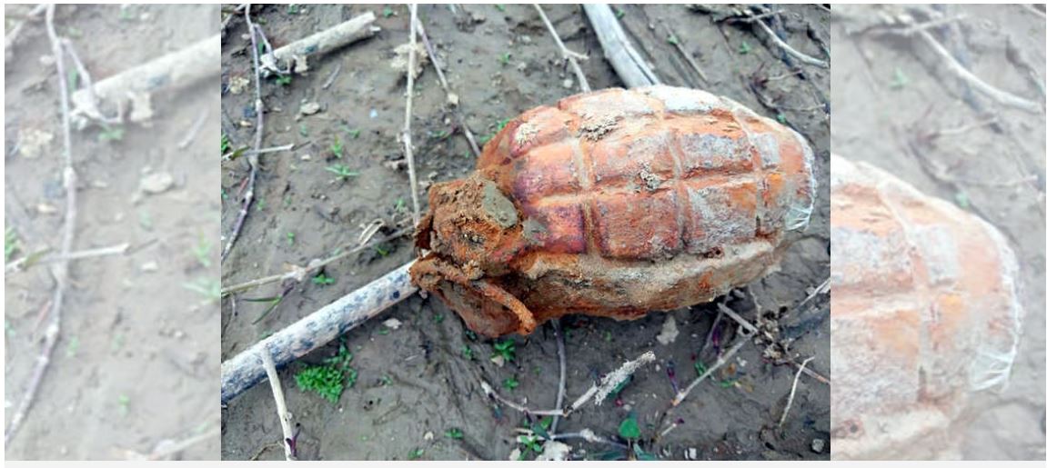 11 grenades dropped by Pakistan drone recovered near IB in Punjab's Gurdaspur